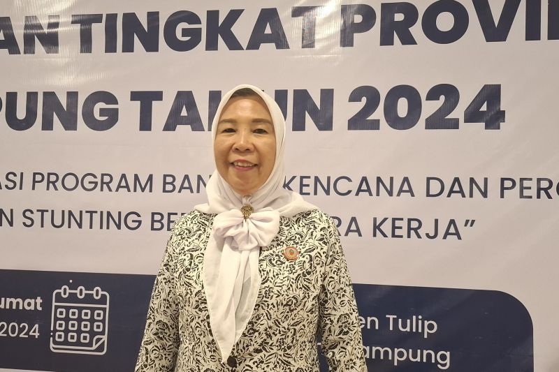 ibi-lampung:-pelatihan-kompetensi-berkala-tingkatkan-layanan-kebidanan