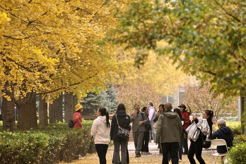 tingkat-tutupan-hutan-di-beijing-akan-capai-45-persen-pada-2025