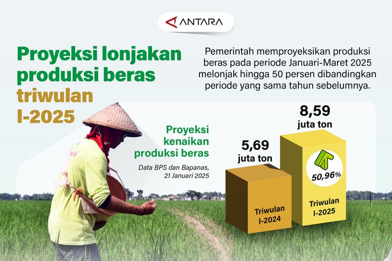 Proyeksi lonjakan produksi beras triwulan I-2025 – Infografik ANTARA News
