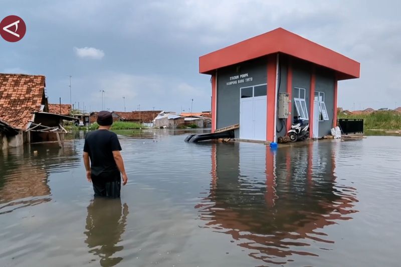 Warga terdampak banjir Pekalongan masih bertahan di pengungsian – ANTARA News