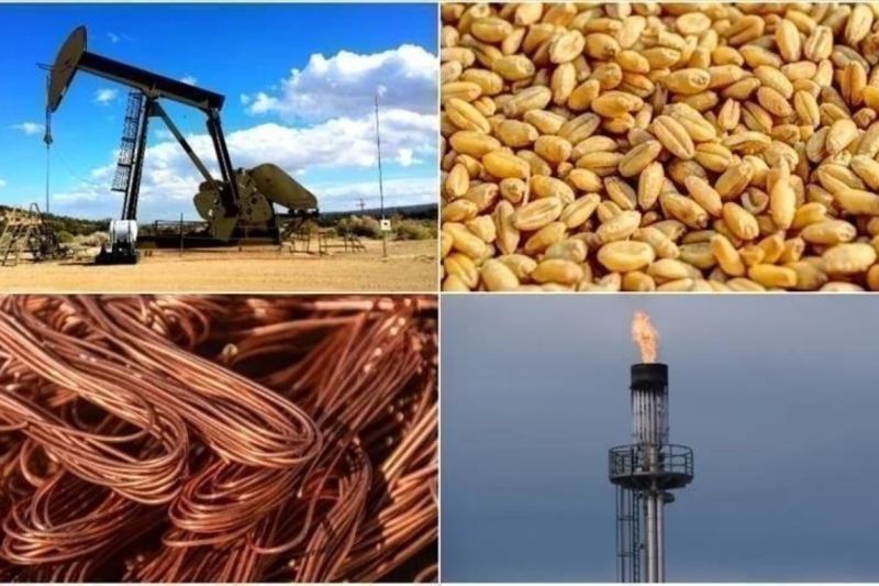 AMRO: ASEAN+3 siap bertahan di tengah guncangan perdagangan global