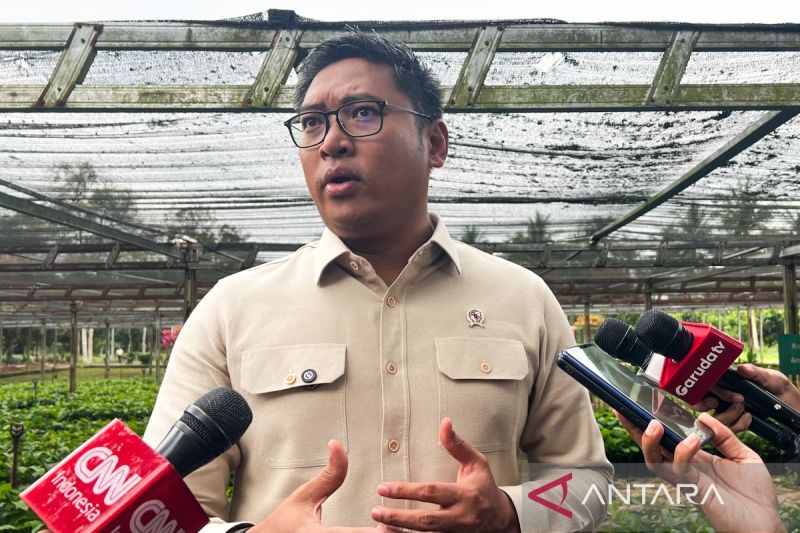Wamentan: Kopdes Merah Putih jadi terminal bantuan pemerintah di desa