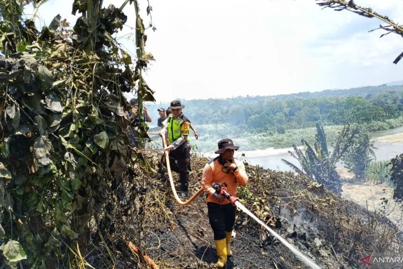 Tujuh daerah di Sumsel waspada karhutla saat kemarau panjang