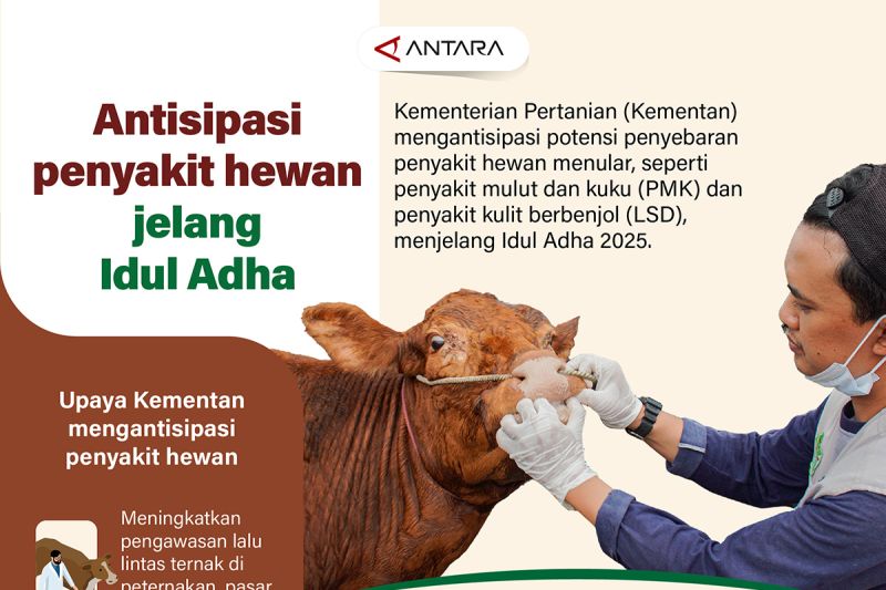 Antisipasi penyakit hewan jelang Idul Adha – Infografik ANTARA News