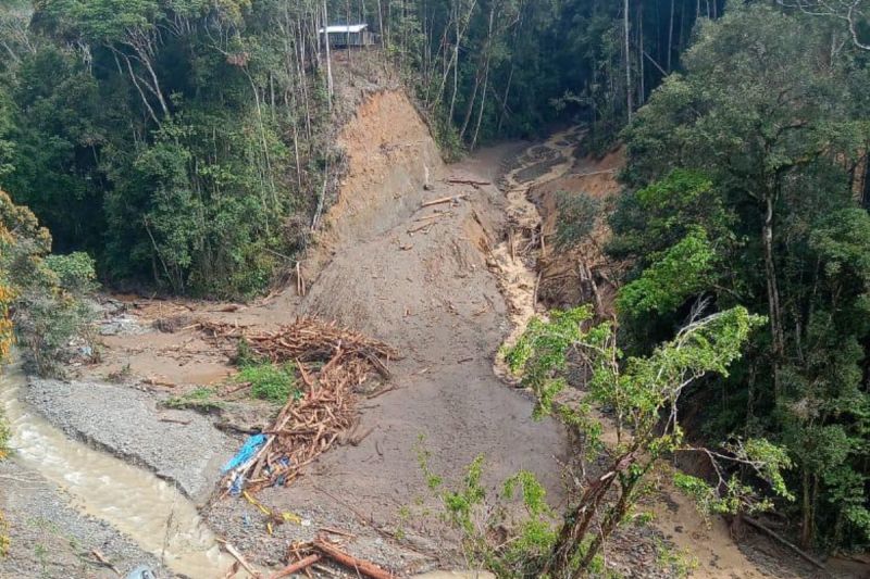 19 warga hilang akibat banjir bandang & longsor di Pegunungan Arfak