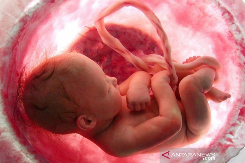 AS soroti ancaman kebebasan berbicara bagi aktivis anti-aborsi Inggris