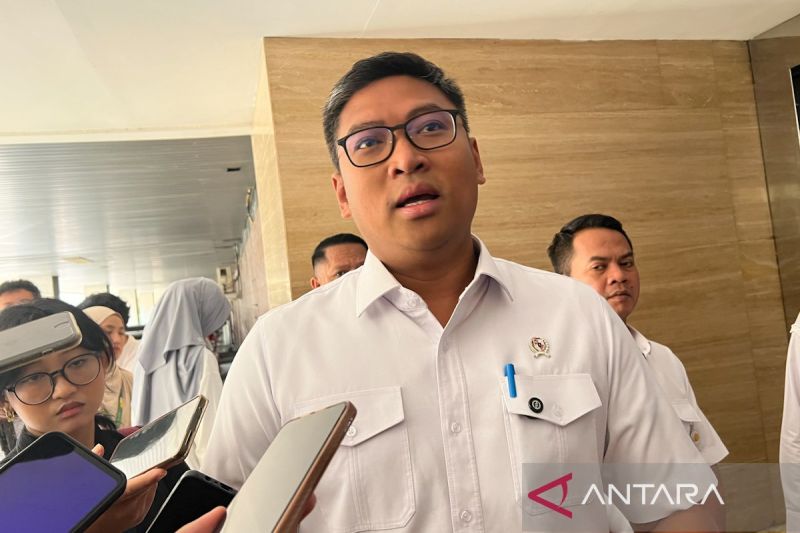 Wamentan sebut Presiden beri “lampu hijau” ekspor beras ke Malaysia