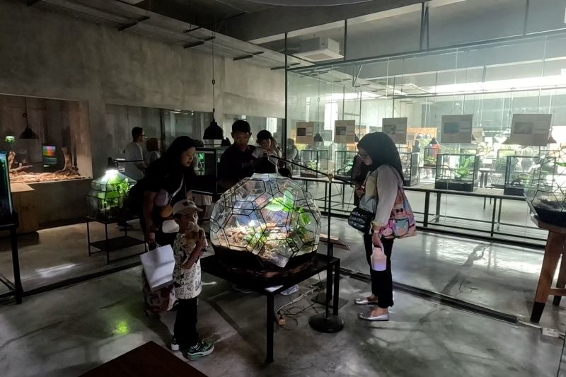 BRIN kenalkan konservasi lewat hiburan satwa – ANTARA News