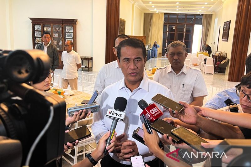 Mentan tegaskan negara tak kalah dengan mafia pangan