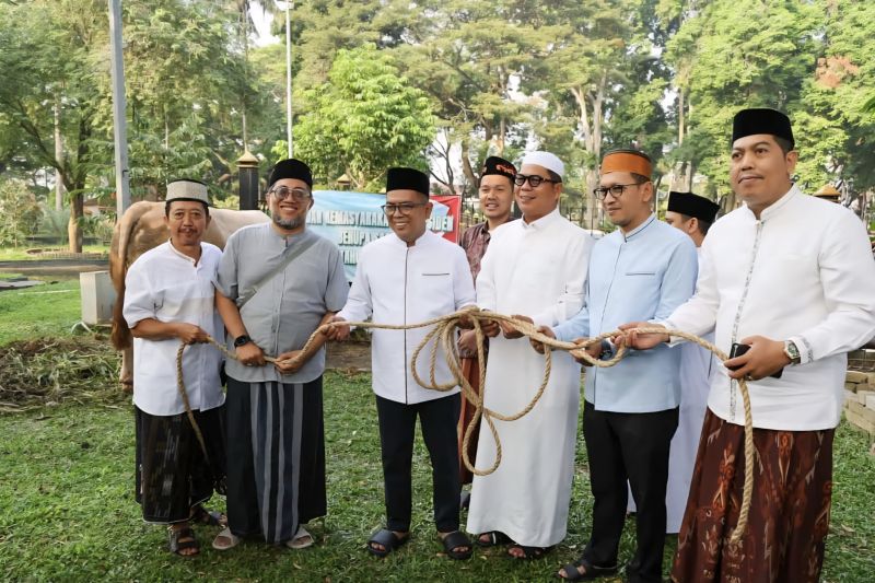 Gubernur Banten terima sapi kurban presiden 1,1 ton