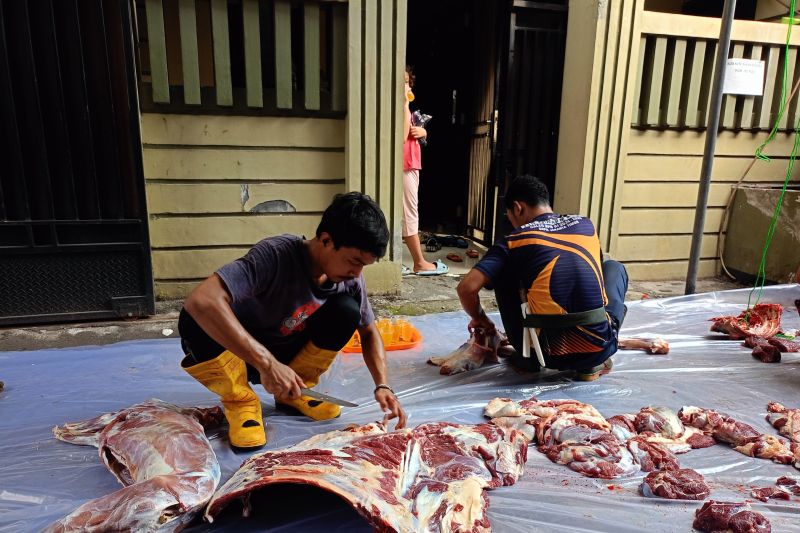 KPKP Jaktim ingatkan warga bahaya cacing pada daging kurban