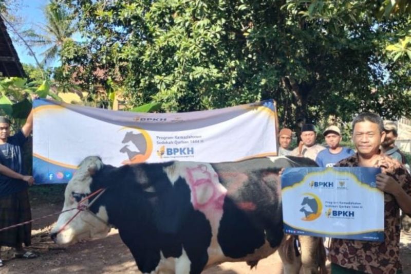 BPKH salurkan ratusan hewan kurban ke seluruh pelosok negeri