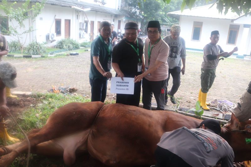 MN KAHMI sebut catat rekor baru dengan 18 hewan kurban tahun ini