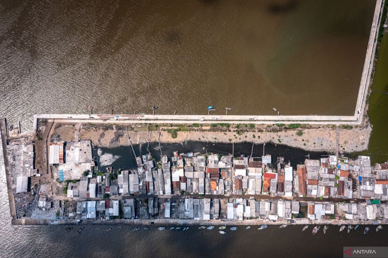 Kemarin, kajian Giant Sea Wall hingga bantuan beras RI ke Palestina