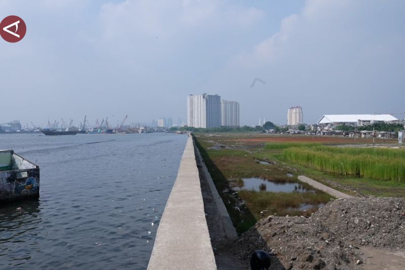 Dana Rp5 triliun per tahun disiapkan untuk Giant Sea Wall Jakarta – ANTARA News