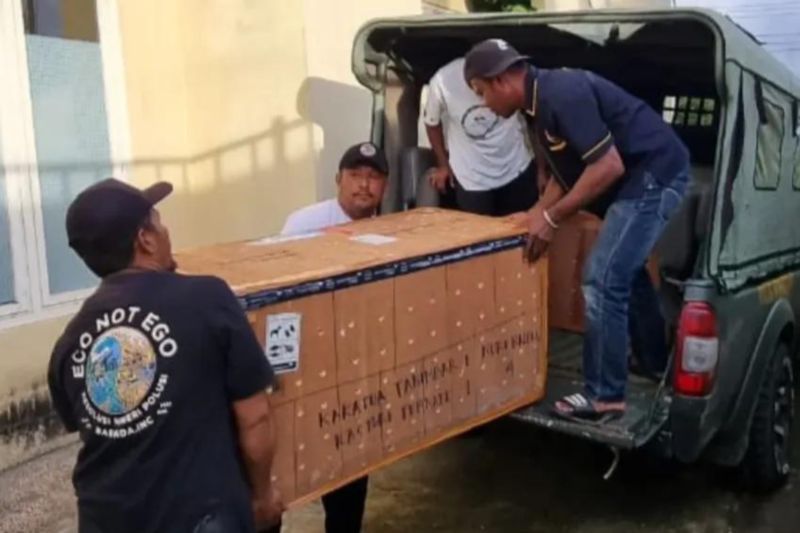 BKSDA Maluku terima 25 satwa liar dilindungi, translokasi dari Jakarta