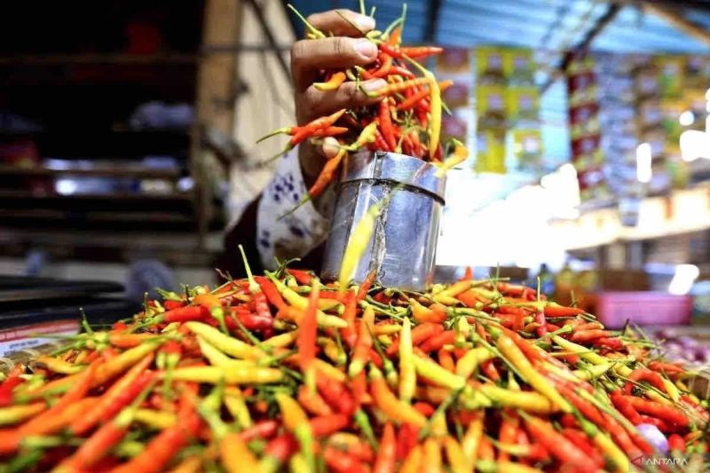 Bapanas catat harga cabai rawit Rp60.541/kg, bawang merah Rp41.773/kg