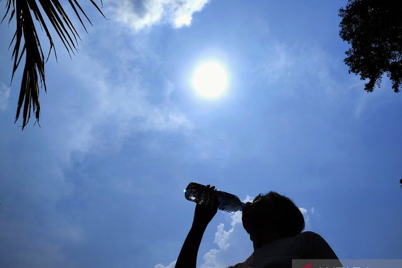 Panas ekstrem landa Prancis: 2 tewas, 300 lebih dilarikan ke RS