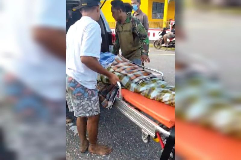BPBD: Warga Buton Selatan tewas ditelan ular sepanjang delapan meter