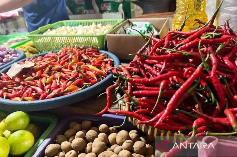 Bapanas: Harga cabai rawit Rp51.182/kg, bawang merah Rp41.200/kg