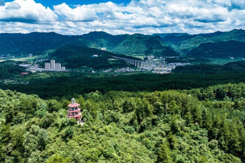 Guizhou ubah keunggulan ekologi jadi kekuatan pembangunan