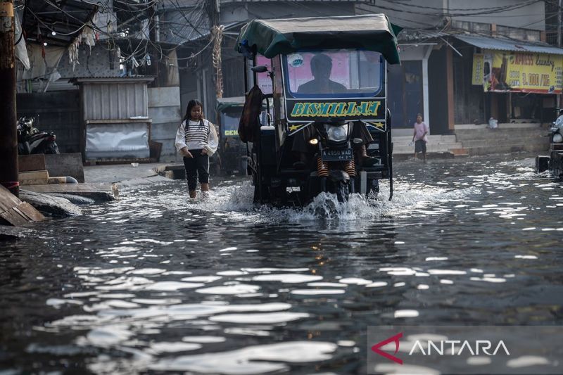 Terpopuler, ancaman banjir rob Jakarta hingga beras untuk Palestina