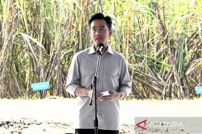 Wapres Gibran ingatkan target swasembada gula konsumsi tahun 2026