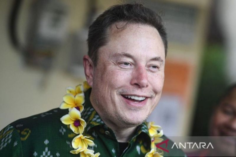Elon sebut kejahatan seksual Jeffrey Epstein jadi prioritas partainya