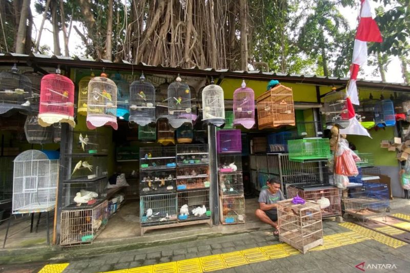 Relokasi Pasar Hewan Barito ke Lenteng Agung mulai awal Agustus 2025