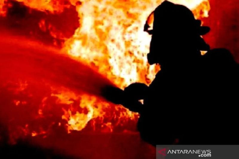 Empat orang tewas akibat kebakaran rumah di Tebet