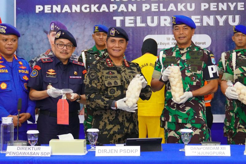 kkp-ungkap-kerugian-penyelundupan-telur-penyu-di-kalbar-rp9,6-miliar
