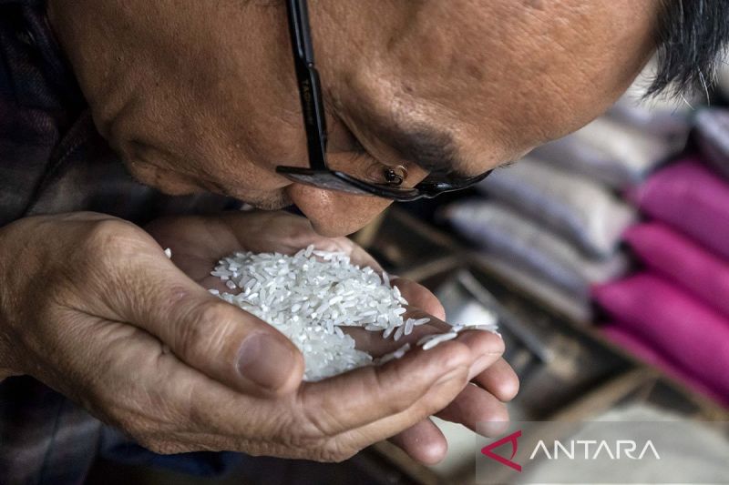 Beras oplosan dan pentingnya pengawasan atas hak konsumen