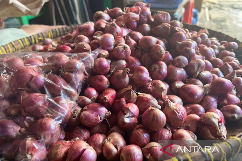 bapanas:-harga-cabai-rawit-rp61770/kg,-bawang-merah-rp45.233/kg