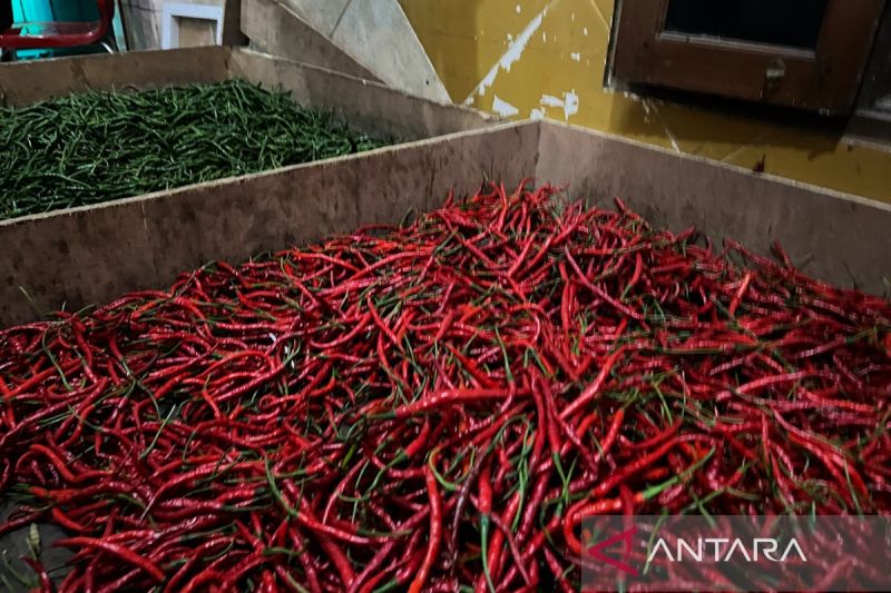 Bapanas: Cabai rawit Rp53.432 per kg, bawang merah Rp47.238 per kg