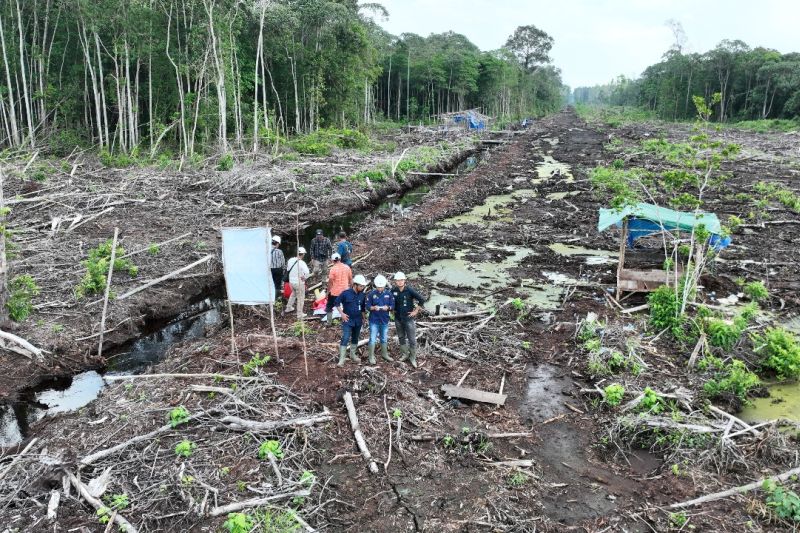 Gakkum Kemenhut segel 80 hektare areal hutan terbakar di Sumsel