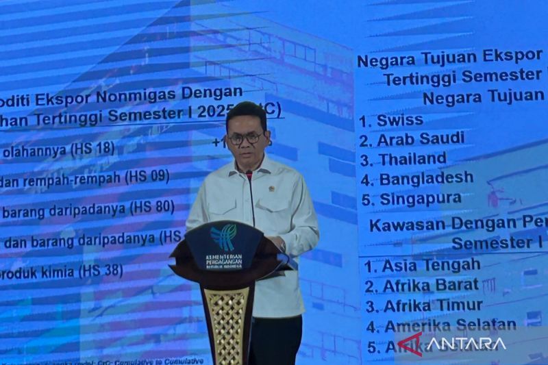 Mendag: Kinerja dagang Indonesia masih positif di tengah perang tarif