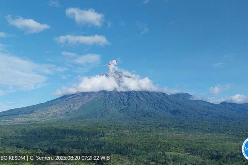 Gunung Semeru kembali erupsi dengan tinggi letusan 800 meter