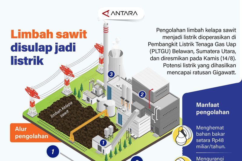 Limbah sawit disulap jadi listrik – Infografik ANTARA News