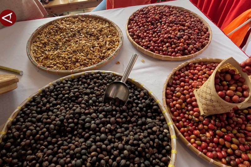 Festival Kopi Legendaris hadirkan sejarah kopi di Kota Hujan – ANTARA News