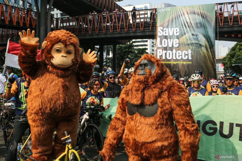 Aksi aktivis Satya Bumi peringati Hari Orangutan Sedunia 2025