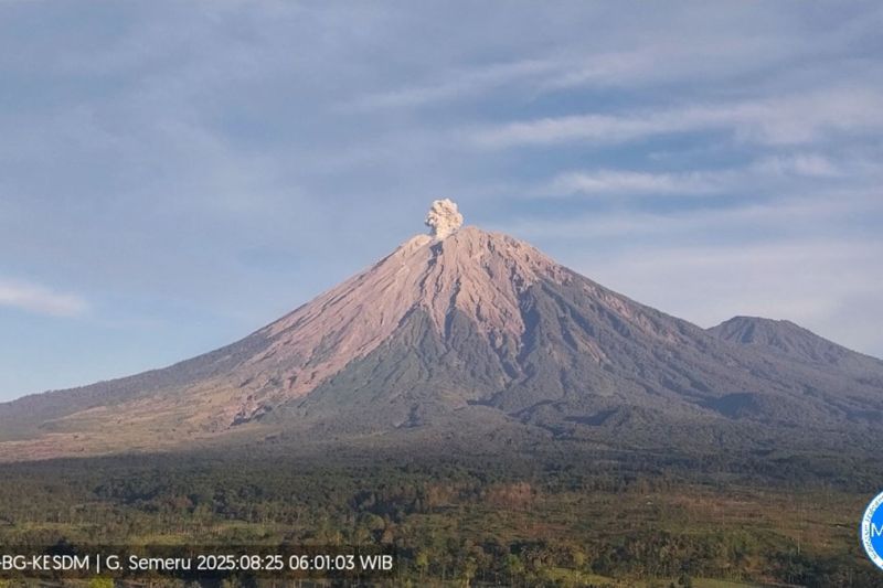 Gunung Semeru kembali erupsi dengan letusan setinggi 700 meter