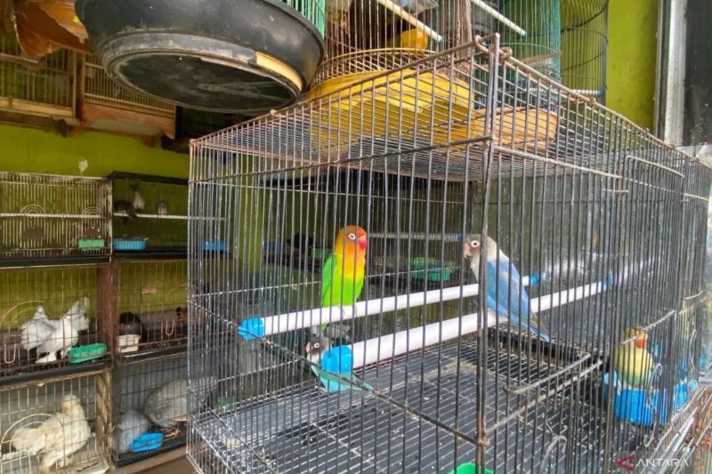 Jaksel jamin Sentra Fauna Lenteng Agung lebih bagus dari Loksem Barito