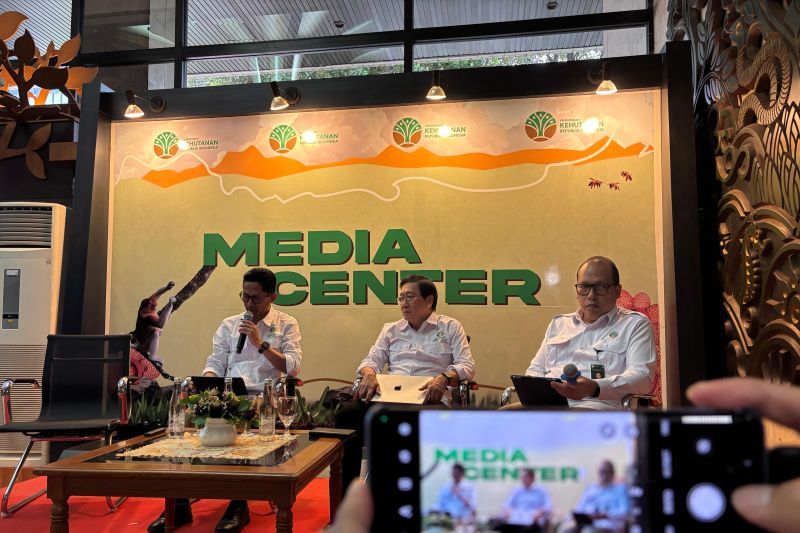 Kemenhut pastikan awasi manajemen hutan berkelanjutan untuk PBPH