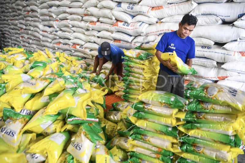 Pengamat: Beras operasi pasar SPHP harus dipastikan berkualitas