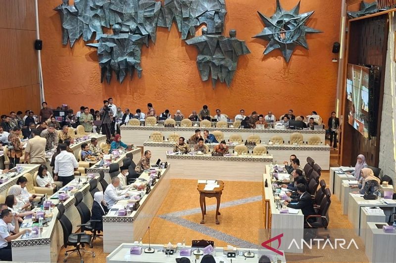 Hak budget DPR dan masa depan demokrasi Indonesia
