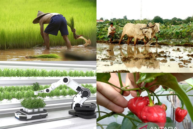 Hari tani dan momentum reforma agraria, hilirisasi, dan lumbung pangan