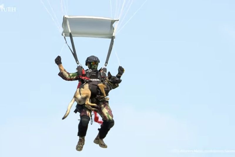 prajurit-kopassus-terjun-payung-bawa-anjing-di-monas-saat-hut-tni