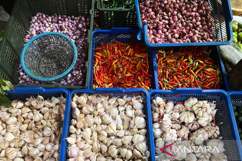 bapanas:-harga-cabai-rawit-rp44565/kg,-bawang-merah-rp37.624/kg