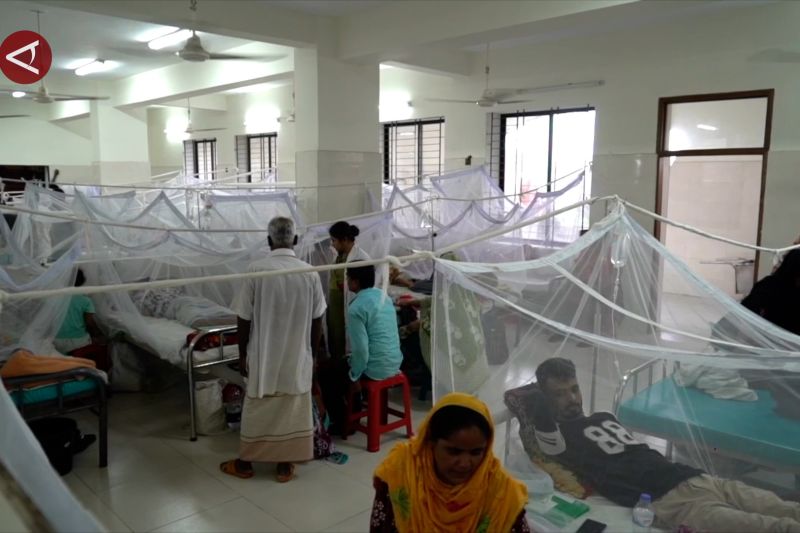 demam-berdarah-tewaskan-215-orang-di-bangladesh-sejak-awal-tahun-–-antara-news