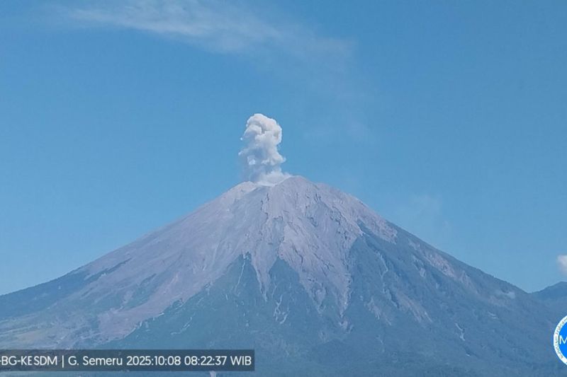 gunung-semeru-erupsi-dengan-tinggi-letusan-700-meter-di-atas-puncak